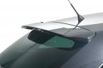 Seat Ibiza by RDX Racedesign 2010 года